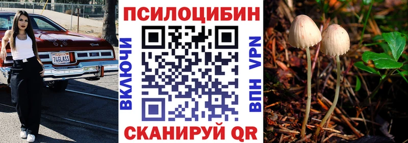 Галлюциногенные грибы мухоморы Елизово