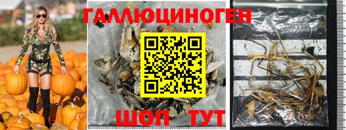 Псилоцибиновые грибы прущие грибы Елизово