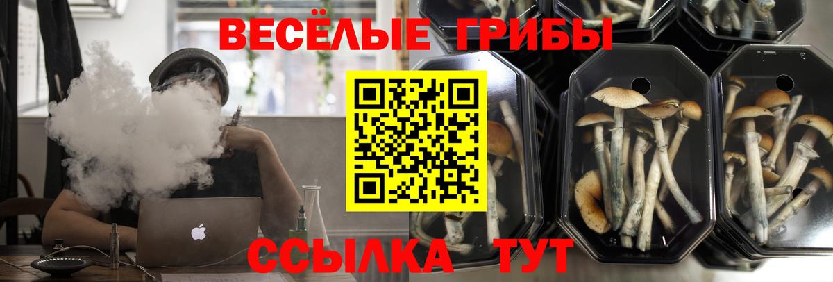 Псилоцибиновые грибы мухоморы  Вход с VPN  Галлюциногенные грибы Cubensis  Елизово 