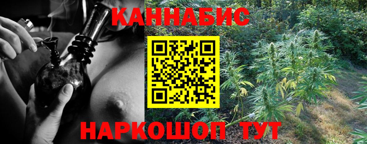 Бошки марихуана семена  Вход с VPN  Каннабис THC 21%  Бошки марихуана Bruce Banner  Елизово 